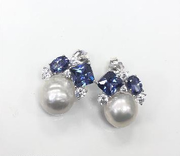 EA010857-tz 2 EA010857-tz 2