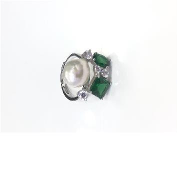RI006507-gr