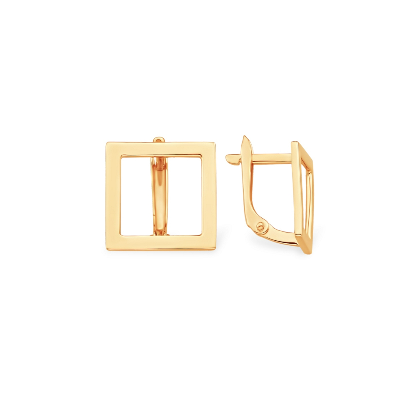 С10020981 С10020981