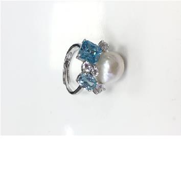 RI006395-bl