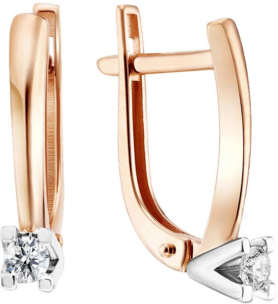 02-02381-1-01-001-01-01